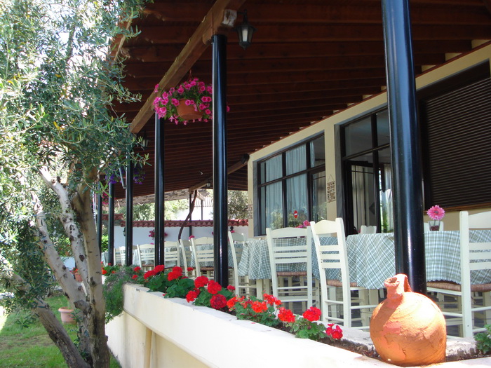 Asteris Village  - pic #11