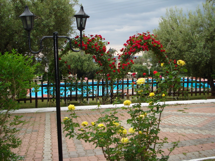 Asteris Village  - pic #15