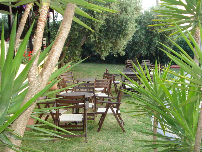 Asteris Village  - pic #17