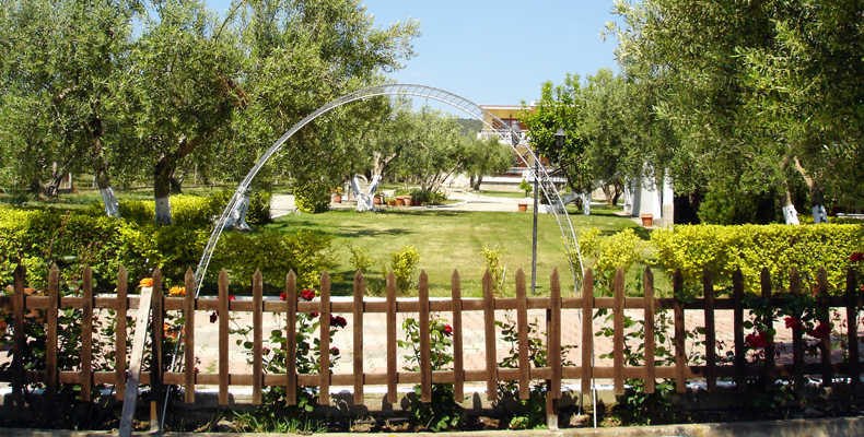 Asteris Village  - pic #6