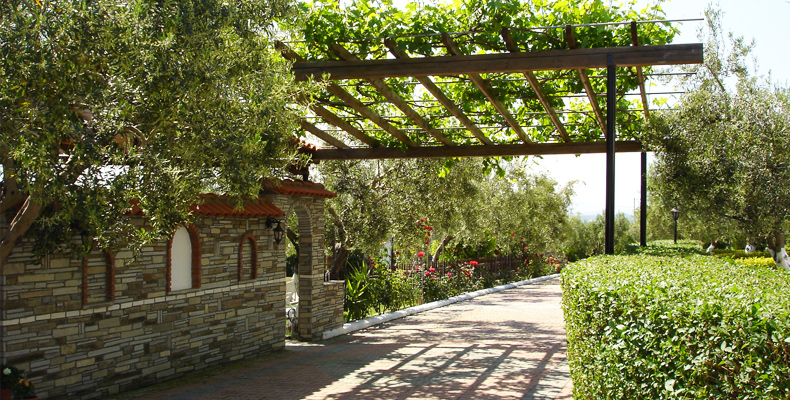 Asteris Village  - pic #7